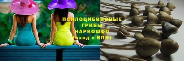сатива Лагань
