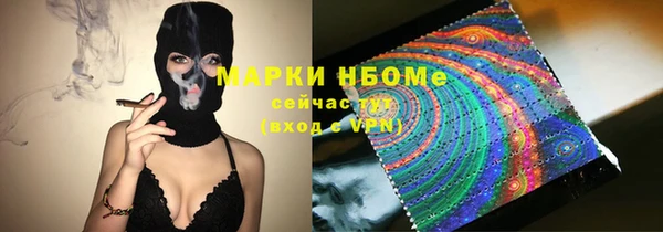 индика Ладушкин