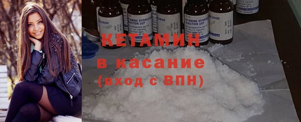 индика Ладушкин