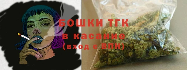 сатива Лагань
