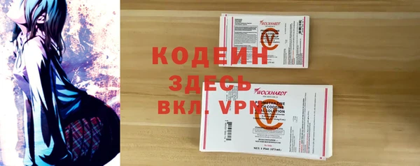 индика Ладушкин