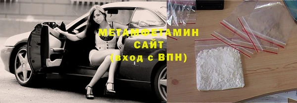 индика Ладушкин