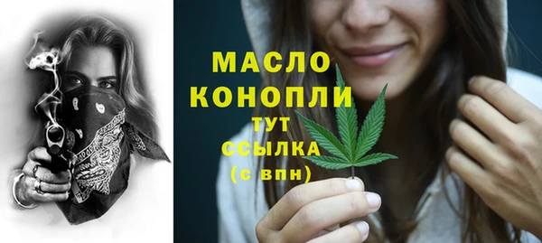 индика Ладушкин