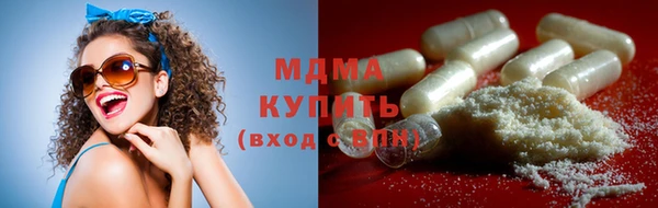 индика Ладушкин