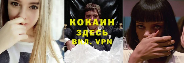 индика Ладушкин