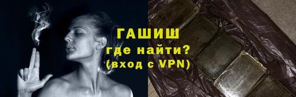 индика Ладушкин