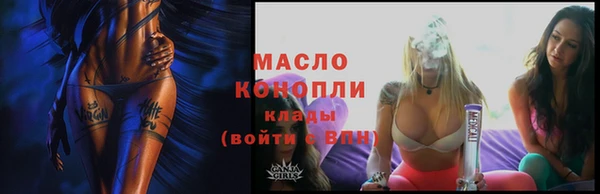 индика Ладушкин