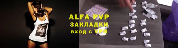 индика Ладушкин