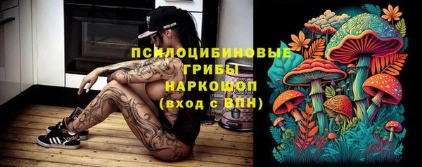 индика Ладушкин