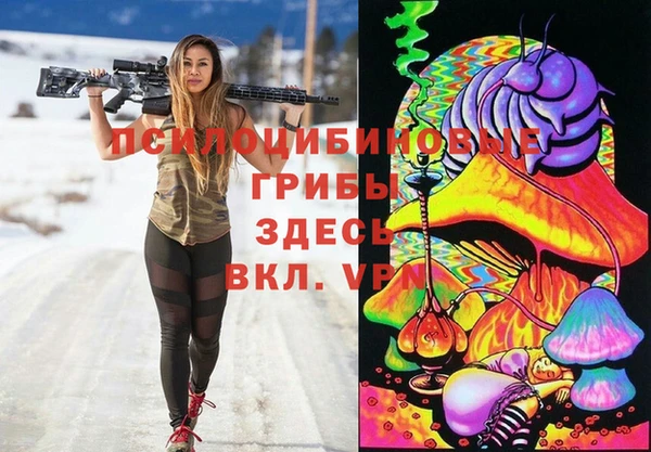 сатива Лагань