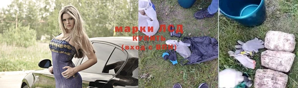 сатива Лагань