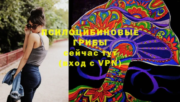 индика Ладушкин