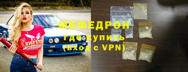 индика Ладушкин