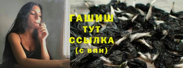индика Ладушкин