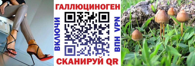 Псилоцибиновые грибы Magic Shrooms  Купить где  Юрюзань 